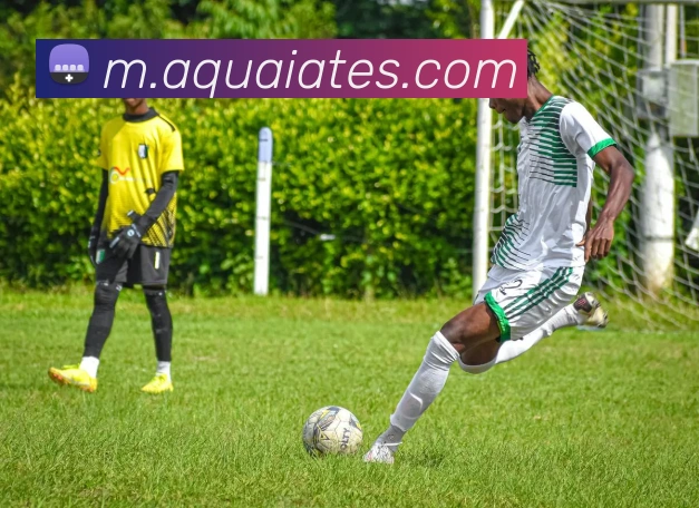 米兰网页版平台生态图